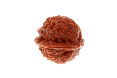 Wen-play walnuts isolated on a white backgroundの写真素材