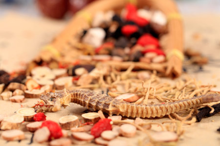 Traditional Chinese medicine, Studio shooting close-upの写真素材