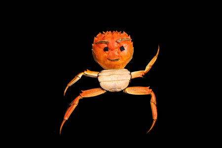 A puzzle of a man made out of a hairy crab shell, A black background