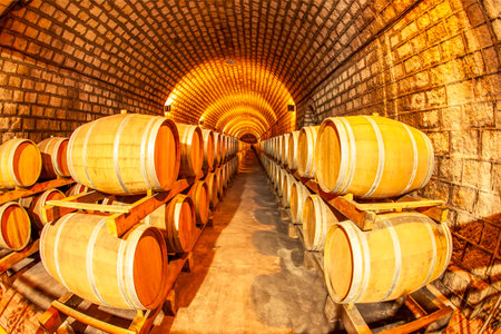 Wine Cellar with Wooden Barrels, Wine oak barrels in wine cellars, Wine barrels stacked in the cellar of the wineryのeditorial素材