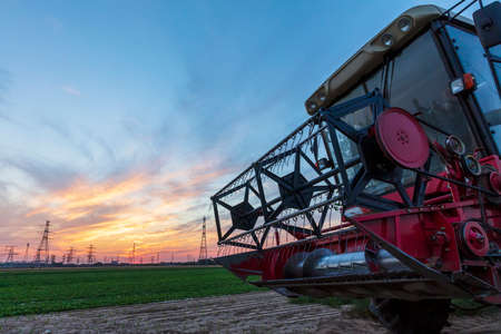 The combine is harvesting the wheat in the evening, beautiful sunsetの写真素材