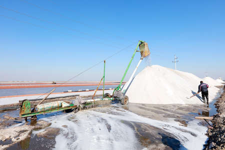 Workers work on the salt field, Salt-farm workers produce salt in the salt fields, salt-farm equipment produces saltの写真素材