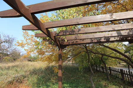 Beautiful wooden pavilions and trees in autumnの写真素材