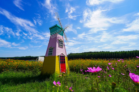 Beautiful windmill under the blue sky, the foreground is blooming flowersの写真素材