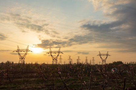 In the evening, high voltage towers silhouette and a beautiful sunsetの写真素材