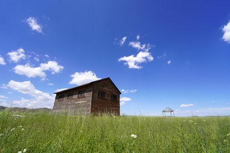 Beautiful wooden house on the grassland, blue sky and white cloudsの写真素材