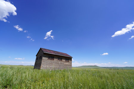 Beautiful wooden house on the grassland, blue sky and white cloudsの写真素材
