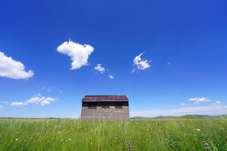 Beautiful wooden house on the grassland, blue sky and white cloudsの写真素材