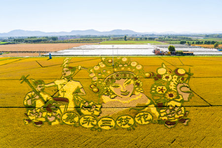 Autumn, Chinese creative rice field paintingの写真素材
