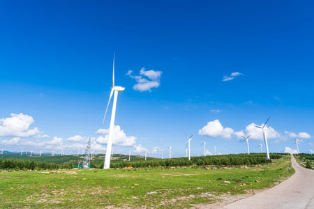 Wind turbines, Wind turbines under blue skies and white clouds