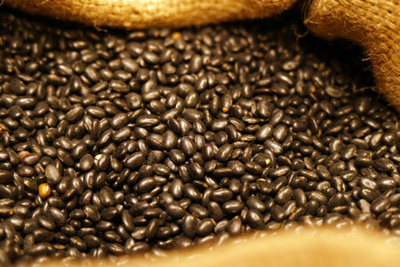 Close-up of black beans, studio shotの写真素材