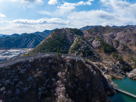 The Great Wall is in China. The Great Wall in spring, the mountains are full of flowers, the Great Wall and the lakeの写真素材