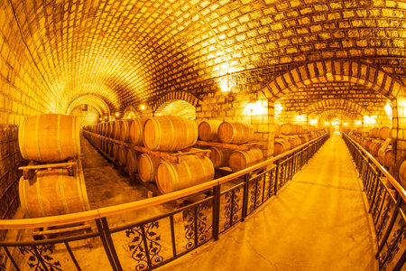 Wine Cellar with Wooden Barrels, Wine oak barrels in wine cellars, Wine barrels stacked in the...