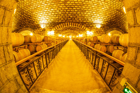 Wine Cellar with Wooden Barrels, Wine oak barrels in wine cellars, Wine barrels stacked in the cellar of the wineryの写真素材