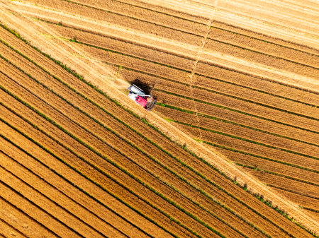 Combine harvester working on a wheat field, A combine harvester reaps the wheat in the field, Aerial photosの写真素材