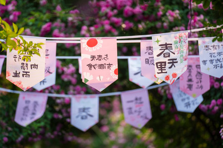 In the summer, flowers are blooming, close-upの写真素材