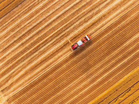 Combine harvester working on a wheat field, A combine harvester reaps the wheat in the field, Aerial photosの写真素材