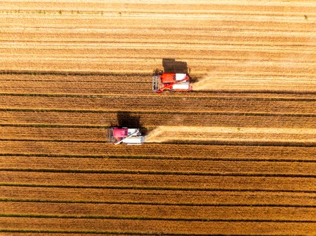 Combine harvester working on a wheat field, A combine harvester reaps the wheat in the field, Aerial photosの写真素材