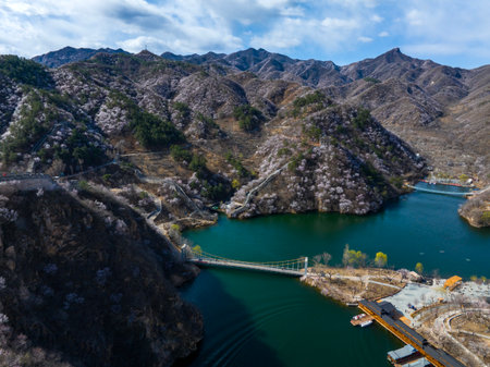 The Great Wall is in China. The Great Wall in spring, the mountains are full of flowersの写真素材