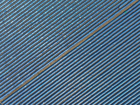 Land covered with plastic film. Seedlings are growing. Aerial photo