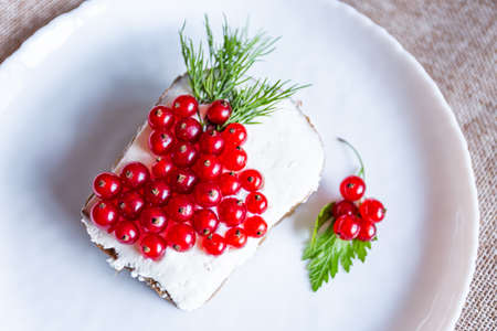 Sandwich with curd cheese, herbs and red currant berries on a white plateの写真素材