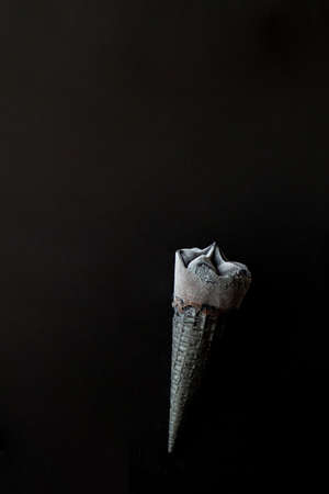 Black ice cream in black waffle cone on black backgroundの写真素材