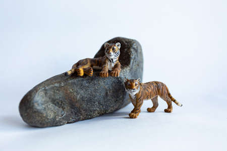 Toy tiger cubs on a white backgroundの写真素材