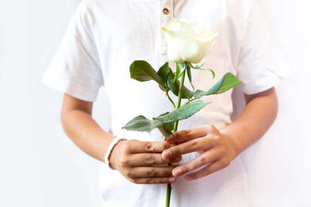 The concept of the protest in Belarus. Man with white bracelet holding white flower on white backgroundの写真素材