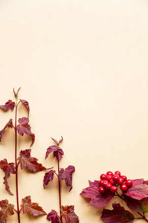 Autumn leaves on a yellow background. Autumn concept with place for text