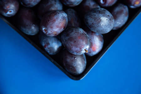 Plums in a black plate on  blueの写真素材