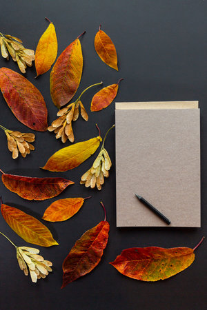 Notebook and pencil surrounded by autumn leaves on a black background. autumn concept