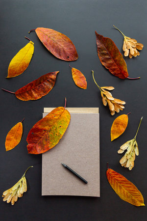 Notebook and pencil surrounded by autumn leaves on a black background. autumn concept