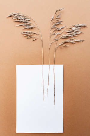 Dried flowers. Dry field spikelets craft paper background. Autumn Conceptの写真素材