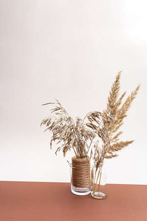 Dried flowers. Field dry spikelets and herbs in vases on a light pink and brown background. Autumn conceptの写真素材