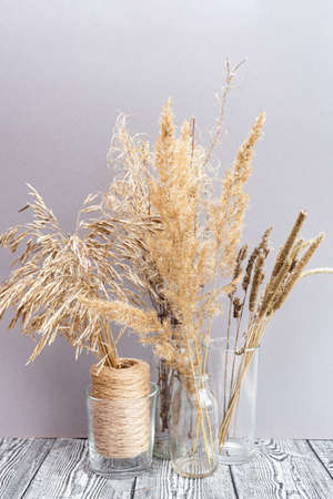 Field dry spikelets and herbs in glass vases on a gray background. Dried flowers.の写真素材