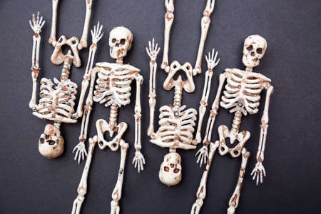 Skeletons on a black background. Day of the death concept. Halloween card.の写真素材