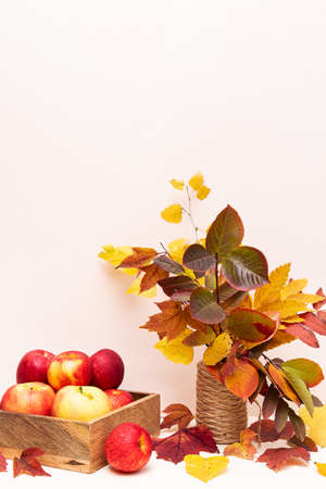 Autumn composition apples and colored fallen leaves. Harvest concept with copy spaceの写真素材