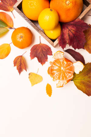 Composition of autumn colored leaves and citrus fruits. Lemons, tangerines, grapefruits in a wooden plate on a light background. Still life with space for textの写真素材