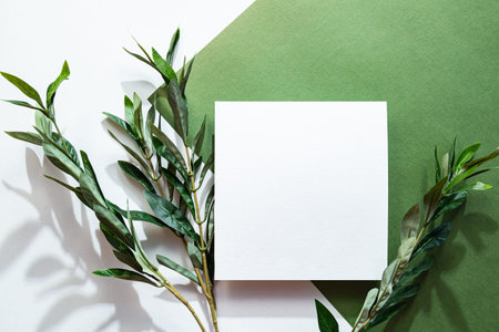 White sheet of paper, eucalyptus branch and long shadows. Empty postcard scene mockup. Green background in sunlight. Flat lay, top view.の写真素材
