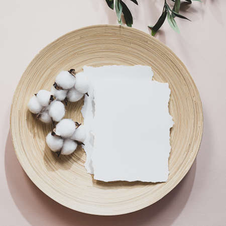 Summer still life scene with an olive branch and shadows on a delicate pink background. A blank sheet of paper with cotton flowers lies on a bamboo plate. Modern postcard layout.の写真素材