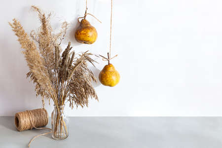 Modern still life with pampas grass in a glass vase and pears. Minimal composition on a light background.の写真素材