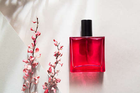 Red bottle of perfume. Modern still life with perfume and pink dry branch of barberry on gray background with long shadowsの写真素材