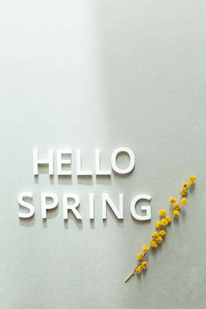 Hello Spring, the phrase is made of white letters on a light green background. A minimalistic composition with mimosa flowers and interesting shadows. Postcard layoutの写真素材