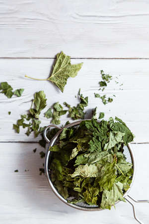 Dry currant leaves in a tea strainer close-up. Alternative herbal medicine. Healthy lifestyle concept. Composition with organic, natural herbal tea on a light wooden table.の写真素材