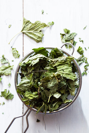 Dry currant leaves in a tea strainer close-up. Alternative herbal medicine. Healthy lifestyle...