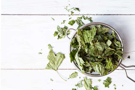 Dry currant leaves in a tea strainer close-up. Alternative herbal medicine. Healthy lifestyle concept. Composition with organic, natural herbal tea on a light wooden table.の写真素材