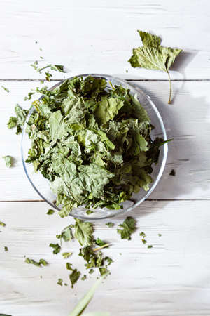 Dry currant leaves in a glass plate on a white wooden table. Composition with organic, natural, dry herbal teaの写真素材