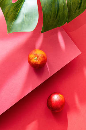 Bright minimalistic still life, red oranges on a red background. Composition with monstera palm leaf and fruits, copy spaceの写真素材