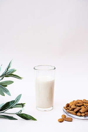 Almond milk with almond on the light background with copy space. Dairy free and lactose free nut milk, healthy eating, vegan and diet concept.の写真素材