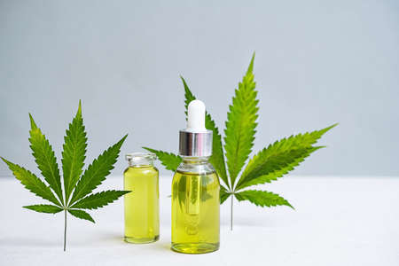 Cosmetics CBD oil and leaves of cannabis. Modern still life of glass bottles with Hemp oil, THC tincture and hemp leavesの写真素材